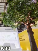 2 große Kunstbäume - wie echt, auf der Messe in Singapur