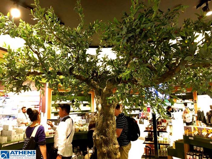 Künstiche Olive als Dekoration in einer Shopping Mall (Flughafen Athen)