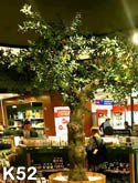 Oliven-Kunstbaum auf dem Airport Athen