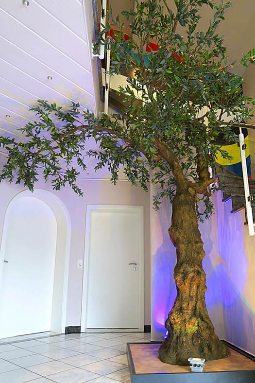 Dekorativer, großer Olivenbaum in einem Treppenaufgang